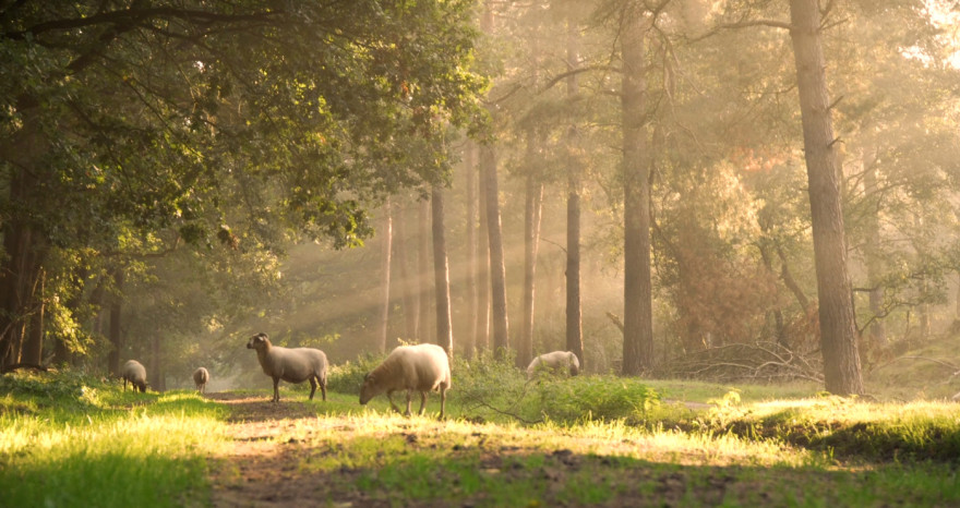 Overnachten in Drenthe